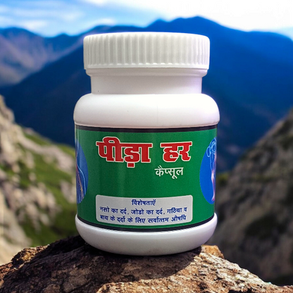 Pidahar Capsule- Help to Relief for Arthritis, Joint & Nerve Pain